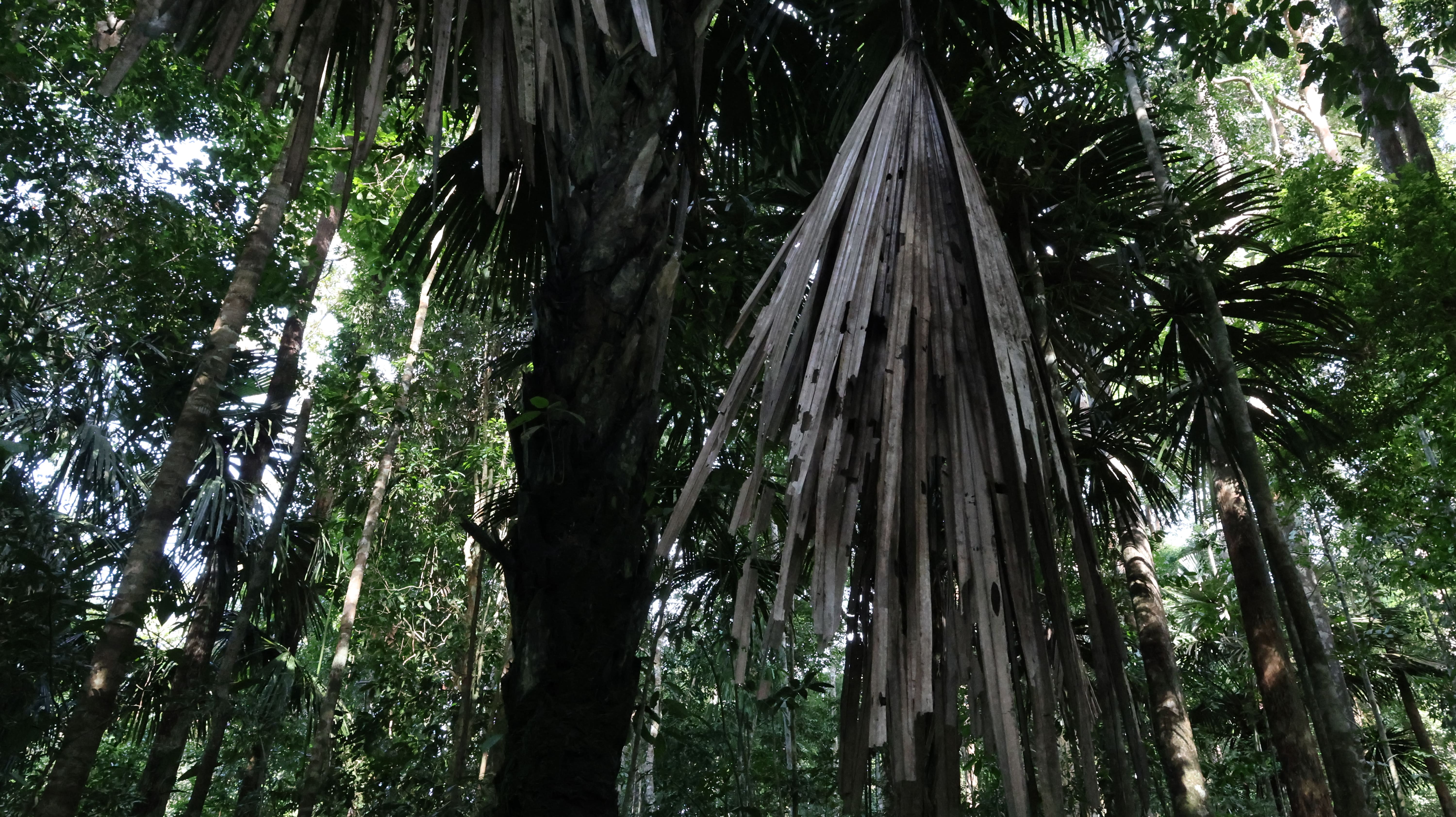 Wartono Kadri Photo 2